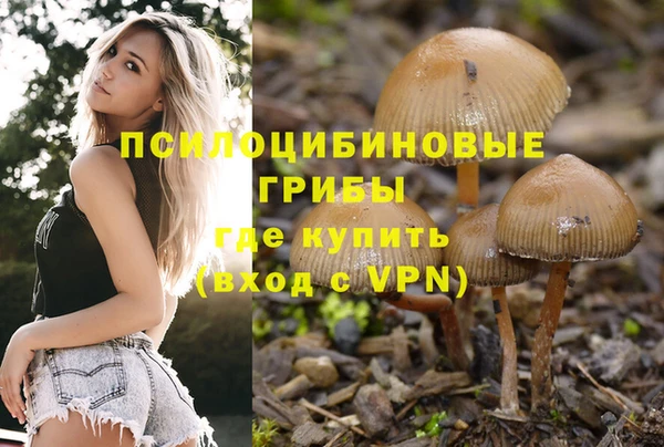 крисы Алзамай