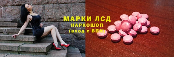 крисы Алзамай