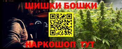 прущие грибы Комсомольск-на-Амуре