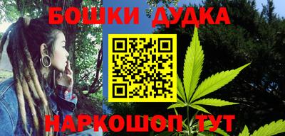 индика Краснознаменск
