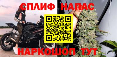 прущие грибы Комсомольск-на-Амуре