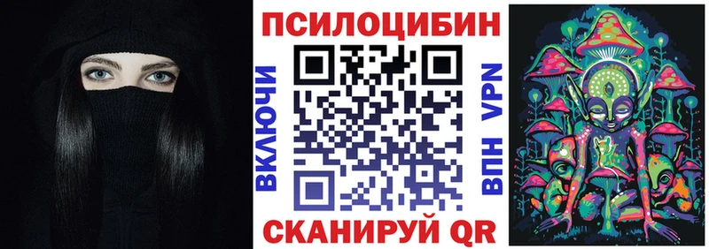 Псилоцибиновые грибы Cubensis  Котлас 