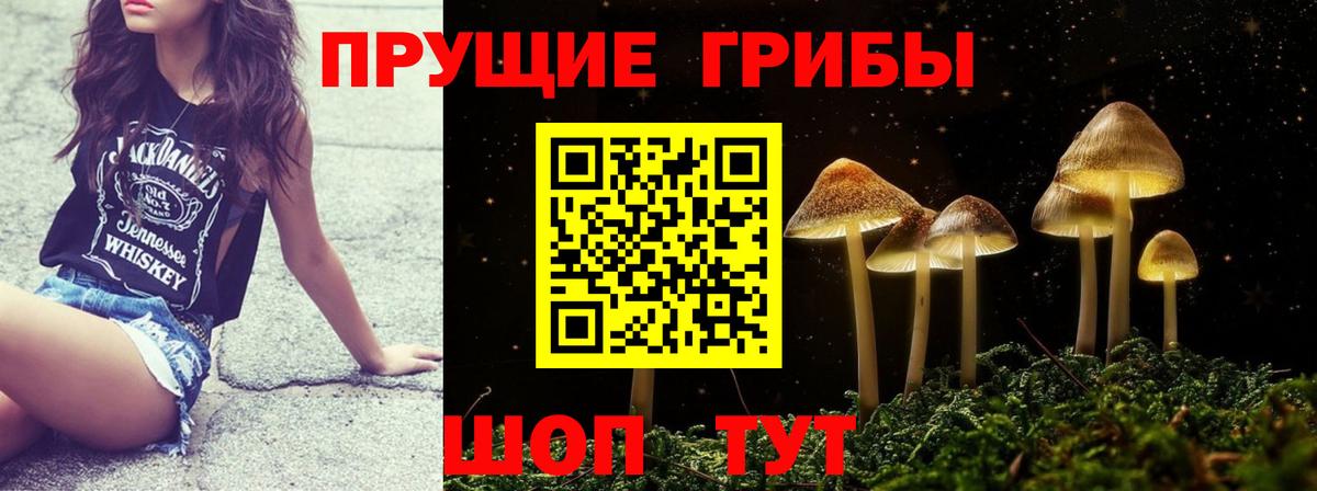 Галлюциногенные грибы ЛСД  Вход с VPN  Котлас 